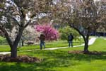 Harper College Campus