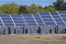 Solar panel farm